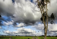 包含Rookie在TES比赛中回归赛场，高光表现引发热议！的词条